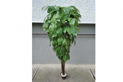 057 veštačko drveće